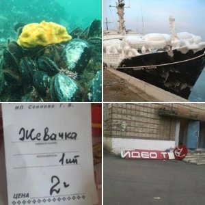 Смешные фото