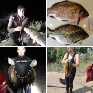 охота 2012