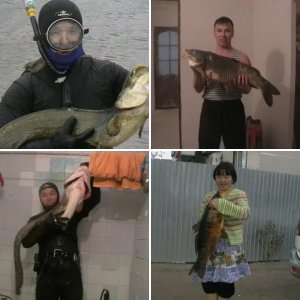 Сезон  2012г. Результаты моей подводной охоты.Всяко-разно