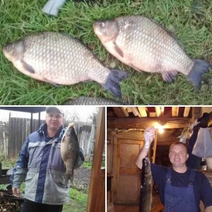 Про рыбку