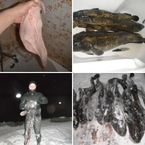 Карелия,Пудож декабрь 2012г