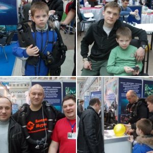 золотой дельфин 2013