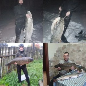 рыбки