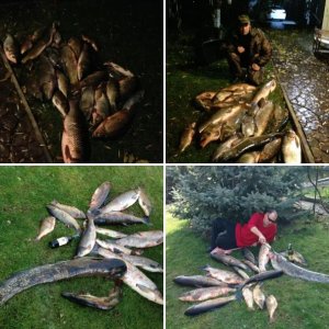 Ночные