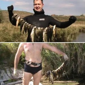 Тренировки по карасю...