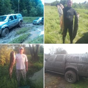 разное