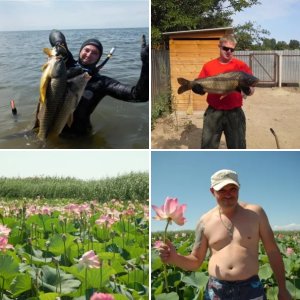 фартовый 2014