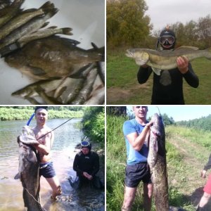трофейчики 2014