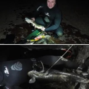 подводная охота