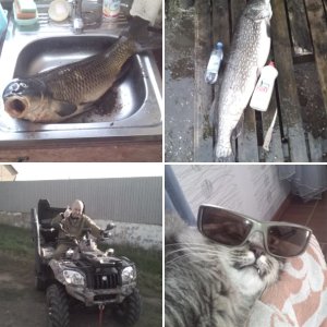Свежее