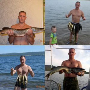 Рыпппки