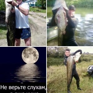 Подводная охота