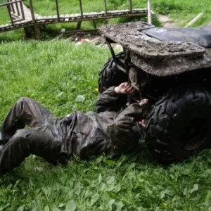 Весна в лесу