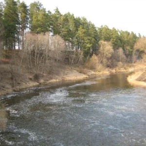 IMG 0530