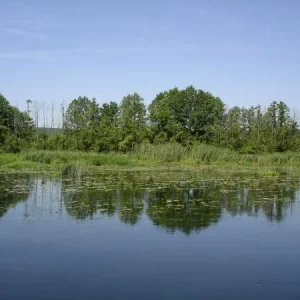 DSC04002