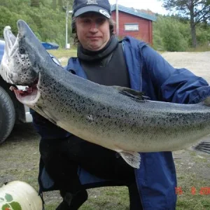 Морская семга