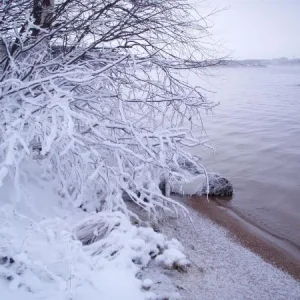 десногорск