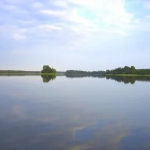 Штиль.