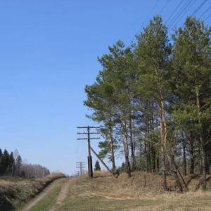 Тишина.