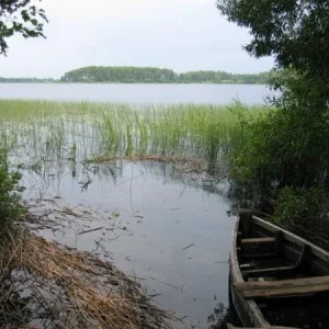 Рай рыболова.