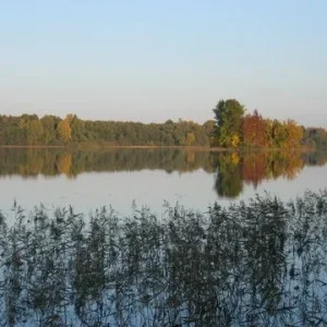 Остров.