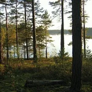 Радость.