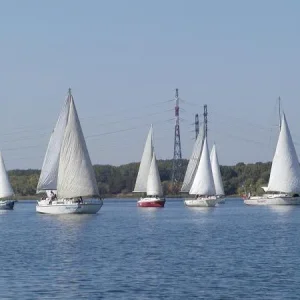 Парусники