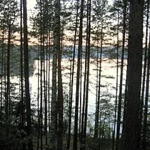 Партизанский край.