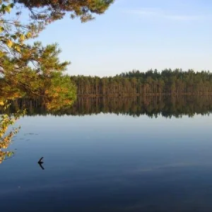 Осень золотая.