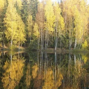 озерна