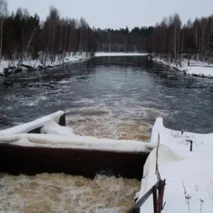бурлилка