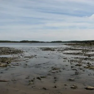 IMG 0226