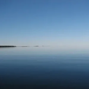 IMG 0405