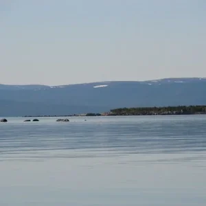 IMG 0415
