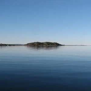 IMG 0420