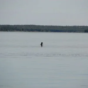 IMG 0427