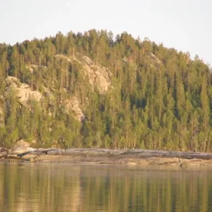 IMG 0480