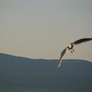 IMG 0465