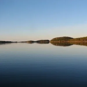 IMG 0495
