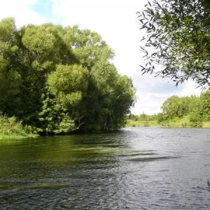 P1010662