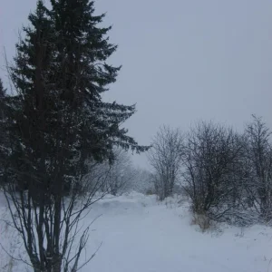 Дорога на горку