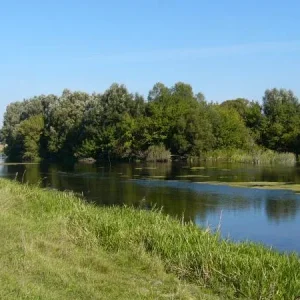 P1010868