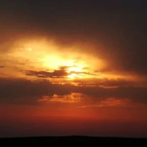 DSC00802