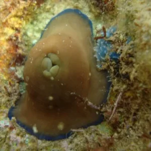 DSC01012