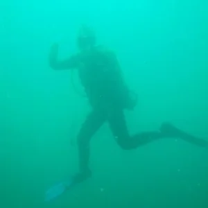 DSC00677