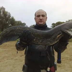 Зура