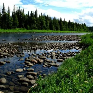 Редкие,солнечные дни.