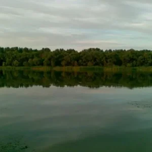 02082007(004)