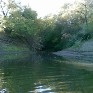 05102007(006)