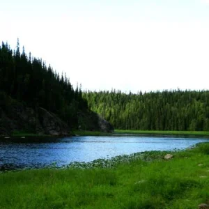 Редкое солнце.